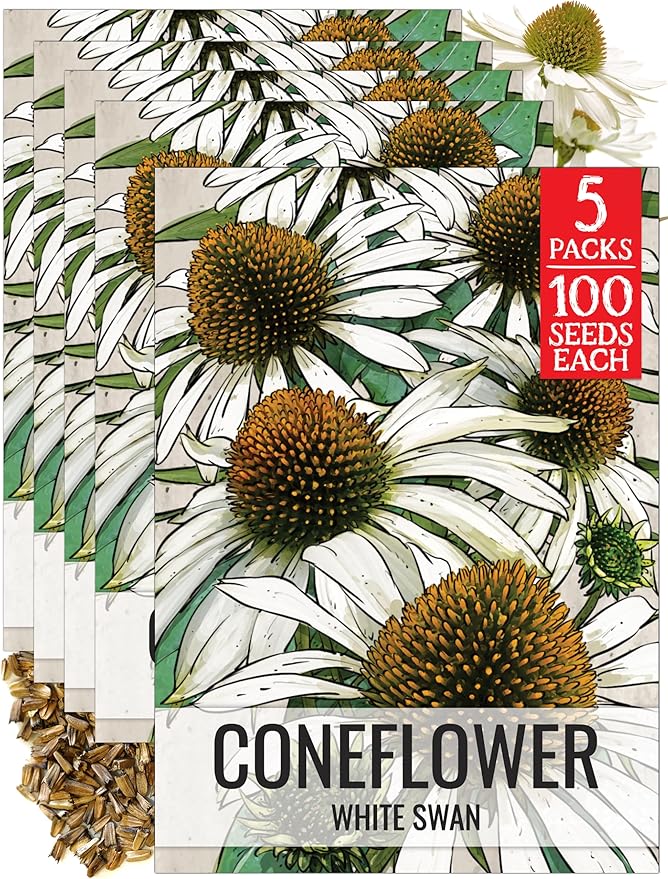 Seed Needs White Swan Coneflower Seeds for Planting Echinacea - Heirloom & Open Pollinated Perennial Flower - Attract Pollinators to a Butterfly Garden (5 Packs)