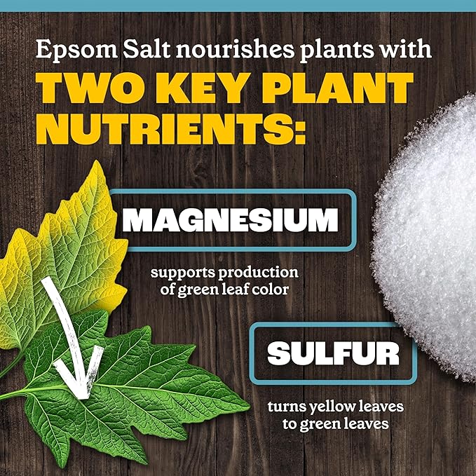 Pennington 397606 Epsom Salt Plant Nutrient, 7 lb