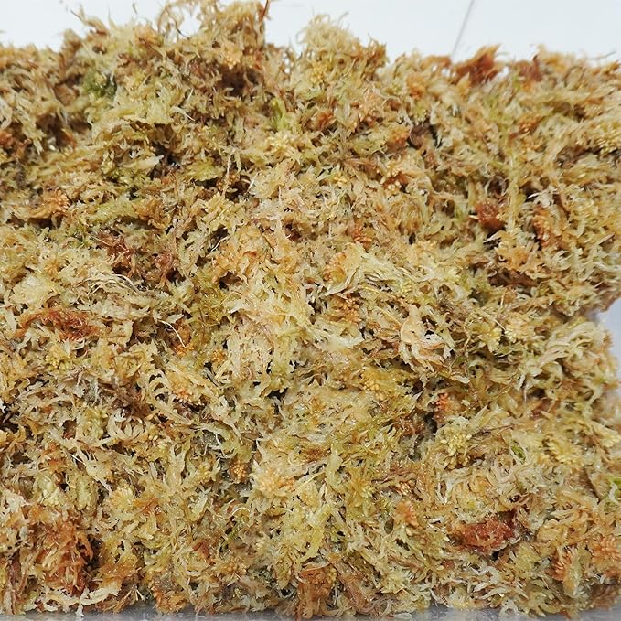Sphagnum Moss 2.5 lb for Plant Propagation, Great Orchid Potting Mix, Help with Maintain Humidity