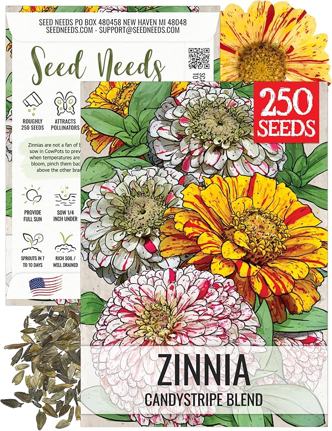 Seed Needs Zinnia Seeds for Planting Candystripe Zinnias - Heirloom & Open Pollinated Annual Cut Flowers - Perfect to Attract Pollinators to a Butterfly Garden (1 Pack)