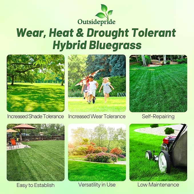 Outsidepride SPF-30 Hybrid Bluegrass Seeds - 5 lbs. Heat & Drought Tolerant, Texas Bluegrass & Kentucky Bluegrass Seed Mix for Challenging Climates, OptiGrowth Coated for Better Establishment
