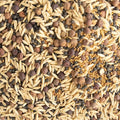 Cover Crop Seed Mix - Pollinator & Bee Friendly Cover Crop Mix - 5 lb Bulk ~34,000 Seeds - Clover Cover Crop Blend - Includes Hairy Vetch Cover Crop Seeds, Crimson Clover, Peas, & Oats