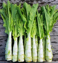 Seeds Asparagus Lettuce Uysun for Salad Non GMO Vegetable for Planting 1000 Seeds