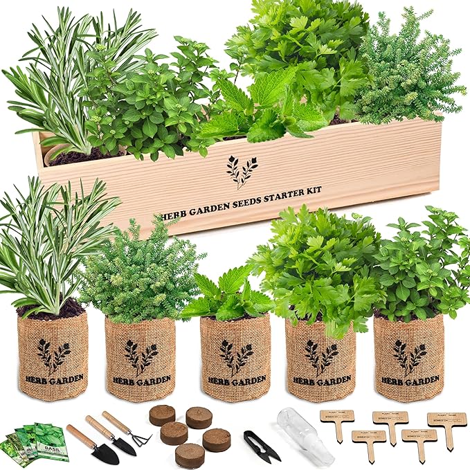 Indoor Herb Garden Starter Kit, Growing into Basil, Parsley, Rosemary, Thyme, Mint, Including A Wooden Box, Soil Discs & Planters with A Gift Box, Ideal Gifts for Women