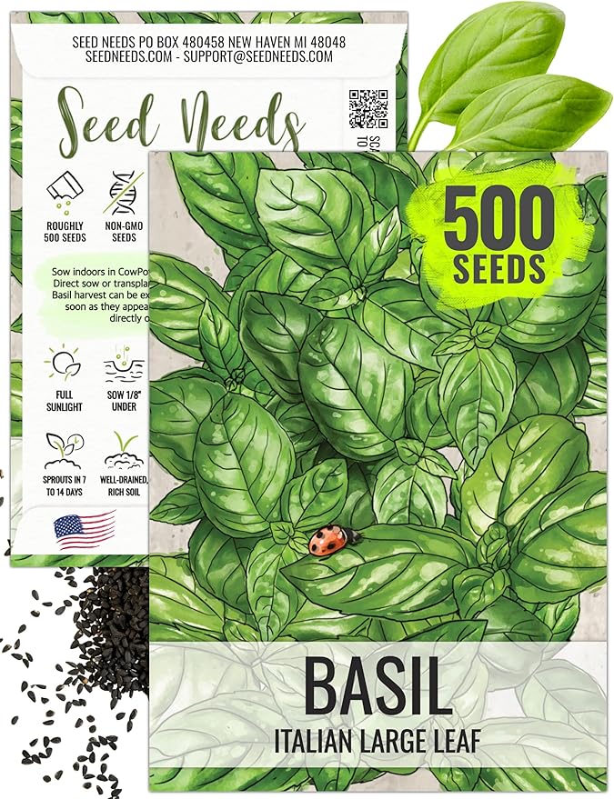 Seed Needs Basil Seeds for Planting Italian Large Leaf Herbs - Non-GMO Heirloom & Untreated - Grow an Indoor or Outdoor Home Grown Herb Garden (1 Pack)