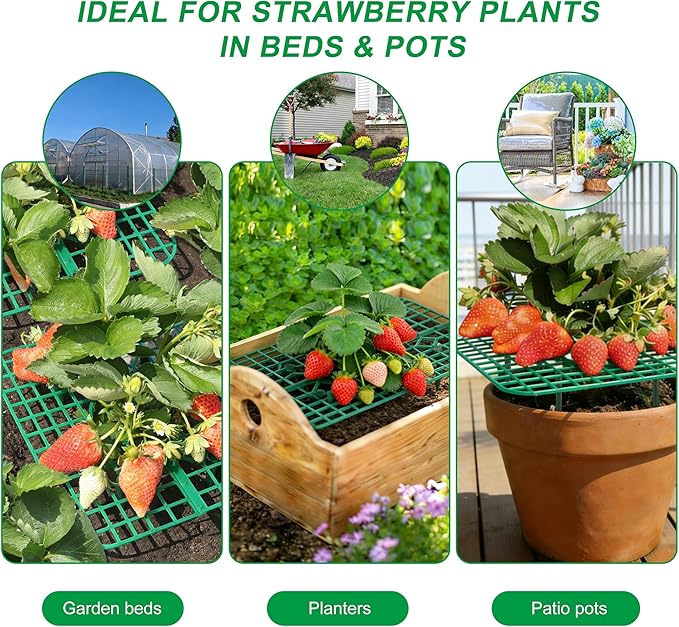 Strawberry Plant Supports, 10 Pack Square Frames Keep Strawberries Off Ground, Reusable Strawberry Plant Stands for Cleaner Strawberries & Easy Harvest