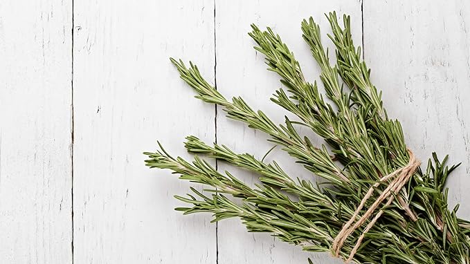 Gaea's Blessing Seeds - Rosemary Seeds - Heirloom Non-GMO Seeds with Easy to Follow Instructions 97% Germination Rate (Pack of 3)