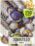 Seed Needs Tomatillo Seeds for Planting Purple Tomatillos - Non-GMO Heirloom & Untreated Annual Veggie Seed to Plant a Home Grown Vegetable Garden Outdoors (5 Packs)
