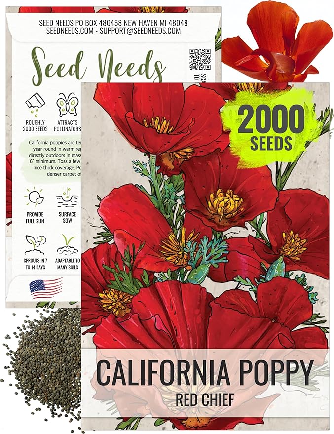 Seed Needs, Red Chief California Poppy Seeds - 2,000 Heirloom Seeds for Planting Eschscholzia californica - Tender Perennial Flowers to Grow a Butterfly Garden to Attract Pollinators (1 Pack)
