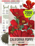 Seed Needs, Red Chief California Poppy Seeds - 2,000 Heirloom Seeds for Planting Eschscholzia californica - Tender Perennial Flowers to Grow a Butterfly Garden to Attract Pollinators (1 Pack)