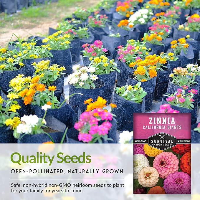 California Giants Zinnia Seeds – Large Colorful Cut & Come Again Blooms – Color Mix – Easy to Grow Annual Flower Mix of Colors – Pollinator Favorite – Survival Garden Seeds (1 Pack)