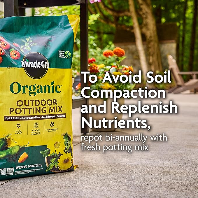 Miracle-Gro Organic Outdoor Potting Mix - Plant Soil for Outdoor Container Plants, Contains Quick-Release Natural Fertilizer, OMRI Listed, 16 qt. (2-Pack)