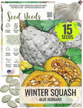 Seed Needs Blue Hubbard Winter Squash Seeds for Planting - Non-GMO, Heirloom & Untreated - Golden Yellow Sweet Flesh Perfect for Baking & Cooking (1 Pack)