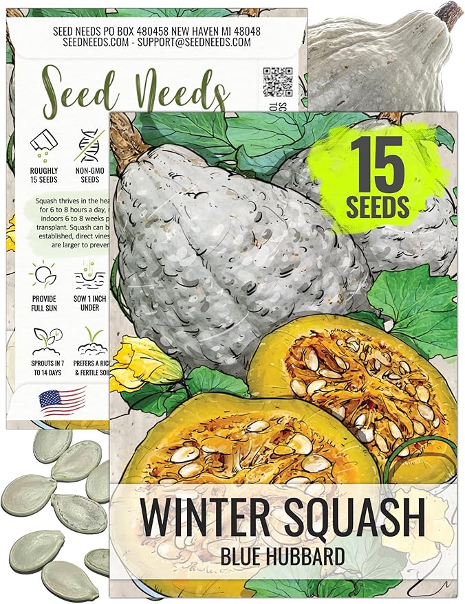 Seed Needs Blue Hubbard Winter Squash Seeds for Planting - Non-GMO, Heirloom & Untreated - Golden Yellow Sweet Flesh Perfect for Baking & Cooking (1 Pack)