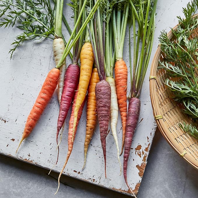 Burpee Kaleidoscope Carrot Blend Seeds - Mixed Colors for Gourmet Dishes