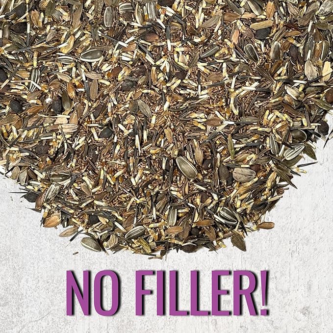 Seed Needs 2 Ounce Large Blooms Mix Hummingbird and Butterfly Garden Wildflower Flower Seeds for Planting | 7 Varieties Open Pollinated | Resealable Package Live Wild Flower Seed | Bulk