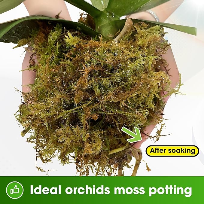 DUSPRO 5 LBS Big Bag Dried Forest Moss for Plant Propagation Sphagnum Moss Bulk for Orchid Repotting Mix Organic Soil Medium Bale Premium Hand Selected