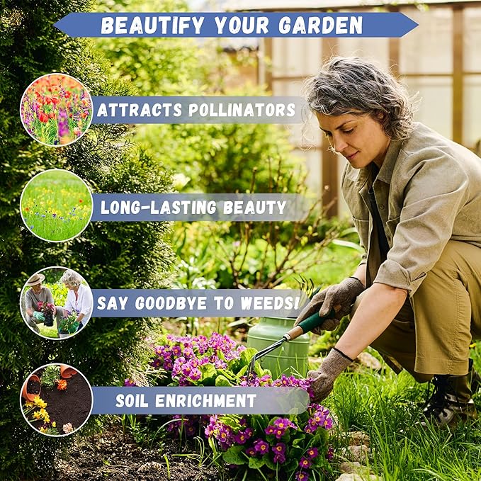 2500+ Perennial Mixed Strawflower Flower Seeds for Planting Outdoors-Attracts Bees&Butterflies Fragrant Butterfly