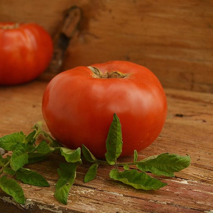 Andrew Rahart's Jumbo Red Heirloom Tomato - 50 Seeds - Rare Heirloom & Open-Pollinated Variety, USA-Grown, Non-GMO Vegetable Seeds for Planting Outdoors in The Home Garden, Thresh Seed Company