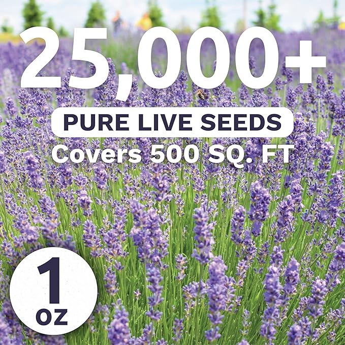Lavender - Bulk 1 Ounce Pouch - 25,000 Flower Seeds for Planting - Lavandula angustifolia