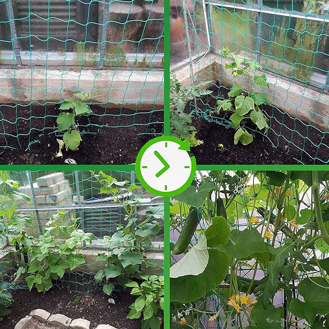 Trellis Netting for Climbing Plants - Heavy Duty Garden Trellis Netting for Cucumber, Vine, Fruits & Vegetables Tomato Plants Trellis Net, Climbing Vining Plants (1-Pack 24.6' x 6.6'Ft)