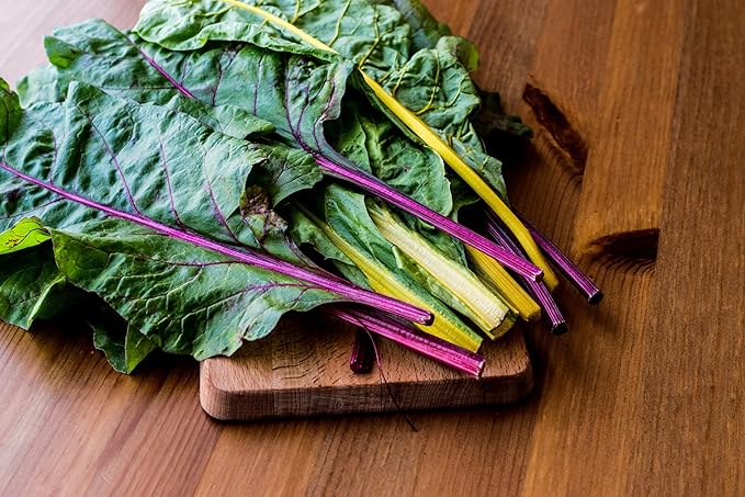 TKE Farms & Gardens - Rainbow Swiss Chard Seeds for Planting, 175+ Heirloom Non-GMO Seeds, Vibrant Mix of Red, Pink, Gold and Green Stems, Sweet Tender Leaves, Nutritious, Easy-to-Grow Garden Favorite