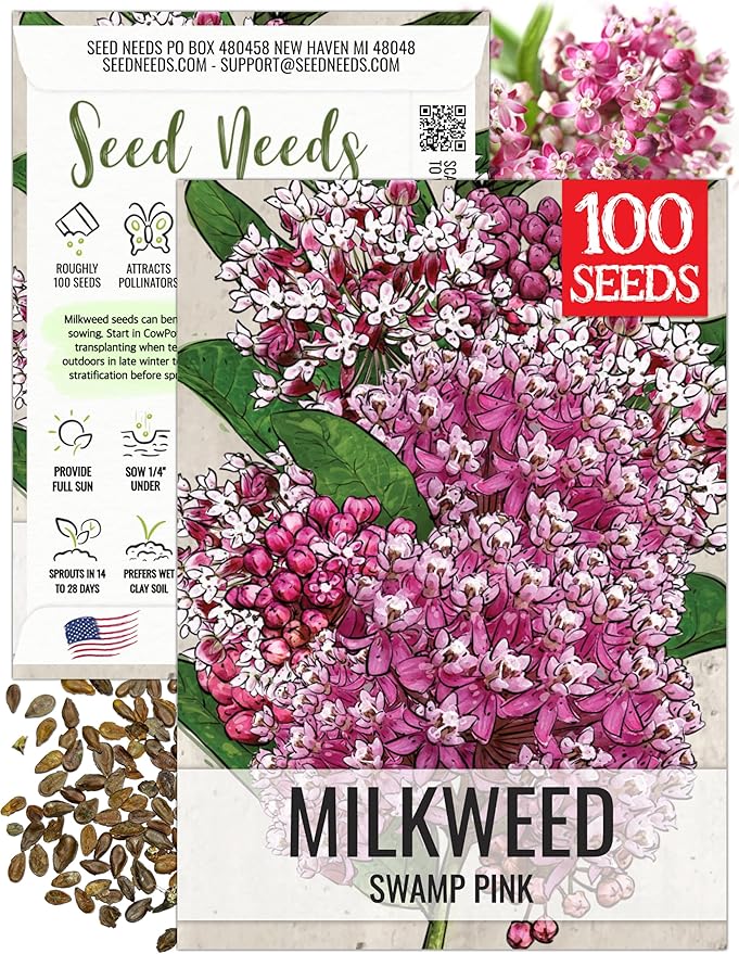 Seed Needs Pink Swamp Milkweed Seeds for Planting - Heirloom & Untreated - Grow a Butterfly Garden to Attract Monarch Butterflies & Pollinators (1 Pack)