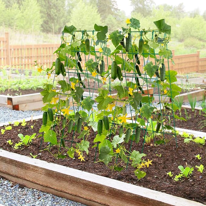 2 Pack Stable Cucumber Trellis, Foldable Garden Trellis for Raised Bed, A-Frame Metal Plant Support Trellis with Ties for Bean Raspberry Squash Climbing Plants Outdoor