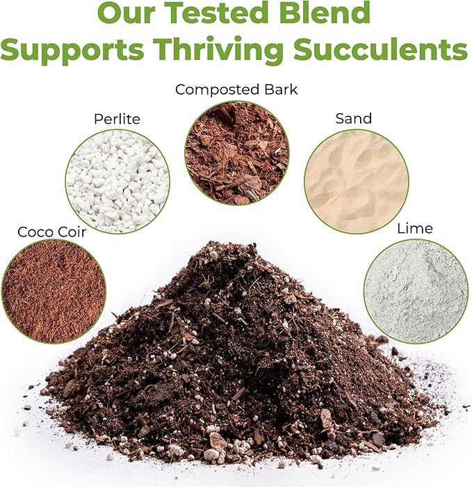 Succulent & Cactus Soil Mix by Perfect Plants (1QT)