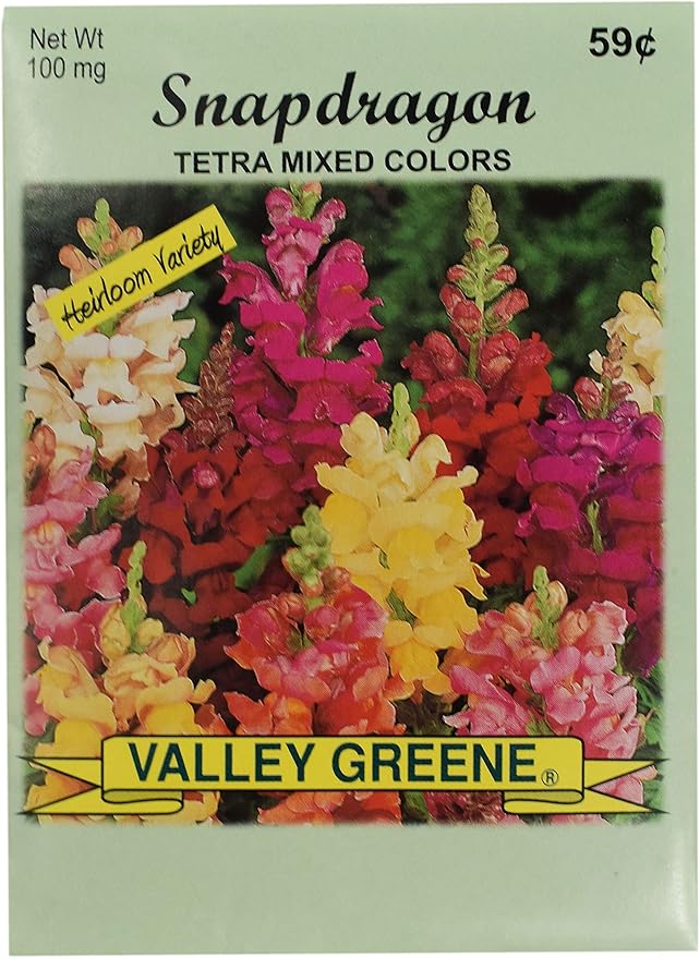 Black Duck Brand Set of 25 Snapdragon Tetra Mixed Flower Seed Packets! Flower Seeds in Bulk - Great for Creating The Garden of Your Dreams! (25, Snapdragon - Tetra Mixed Colors)
