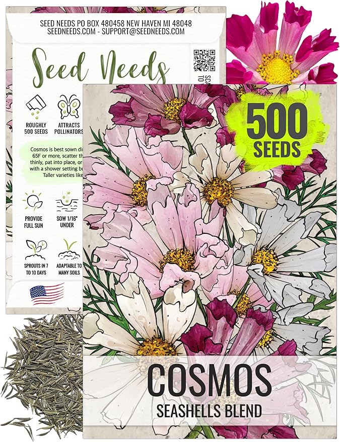 Seed Needs Seashells Cosmos Seeds for Planting - Heirloom & Open Pollinated Annual Wildflowers - Tubular Petals in Mixed Colors Perfect for a Butterfly Garden (1 Pack)