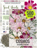 Seed Needs Seashells Cosmos Seeds for Planting - Heirloom & Open Pollinated Annual Wildflowers - Tubular Petals in Mixed Colors Perfect for a Butterfly Garden (1 Pack)