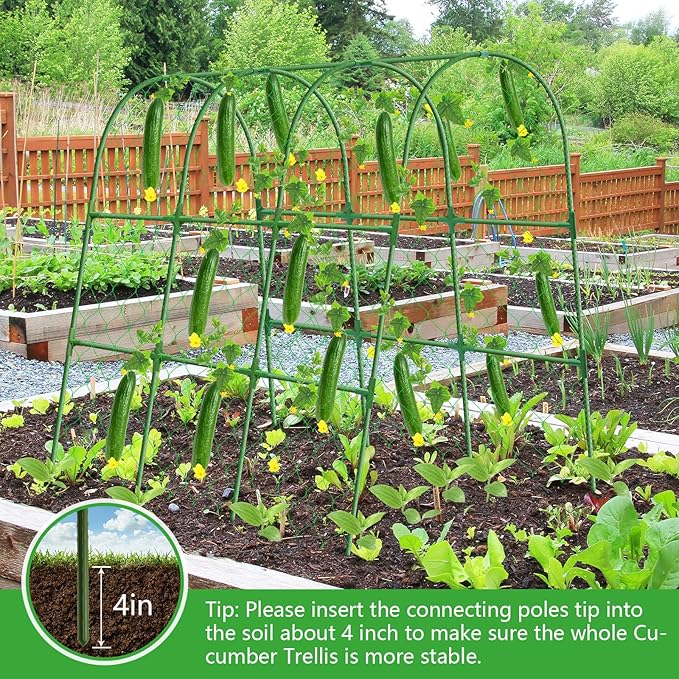 Cucumber Trellis for Raised Bed, 48x48 inch U-Shape Metal Garden Trellis for Climbing Plants Outdoor, Cucumber Trellis for Garden, Arch Garden Trellis for Plants, Vegetables, Flower