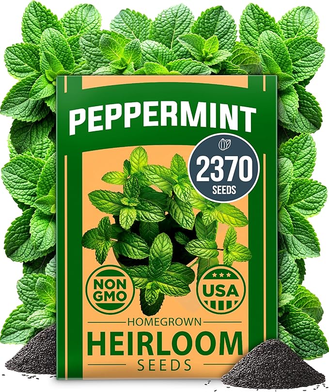 HOME GROWN Herb & Lettuce Seeds 3-Pack – Rosemary (150), Peppermint (2,370), Buttercrunch Lettuce (3,950) – Non-GMO, USA-SOURCED Heirloom Seeds for Indoor & Outdoor Growing