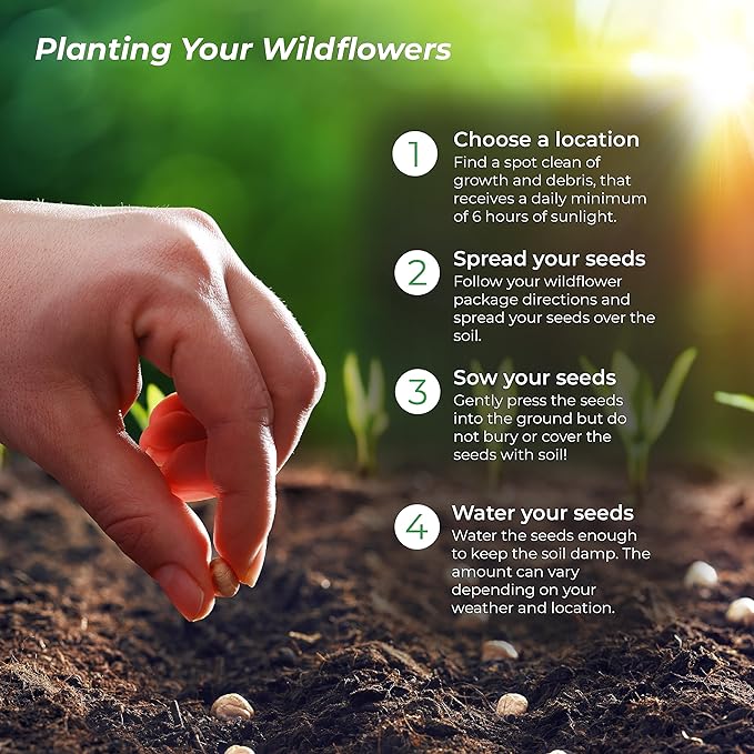 Created By Nature North Carolina Wildflower Seed Mix, 18 Flower Varieties, 35,000 Seeds