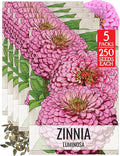 Seed Needs Luminosa Pink Zinnia Seeds for Planting - Heirloom & Open Pollinated Annual Cut Flowers - Grow a Butterfly Garden to Attract Pollinators (5 Packs)