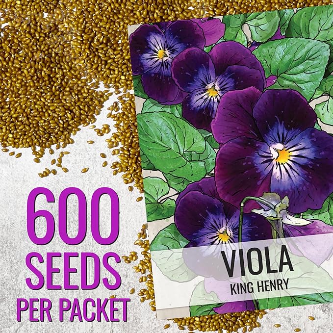 Seed Needs Viola Seeds for Planting King Henry Violas - Heirloom & Open Pollinated Annual Flower Seed to Plant an Outdoor Butterfly Wildflower Garden (2 Packs)