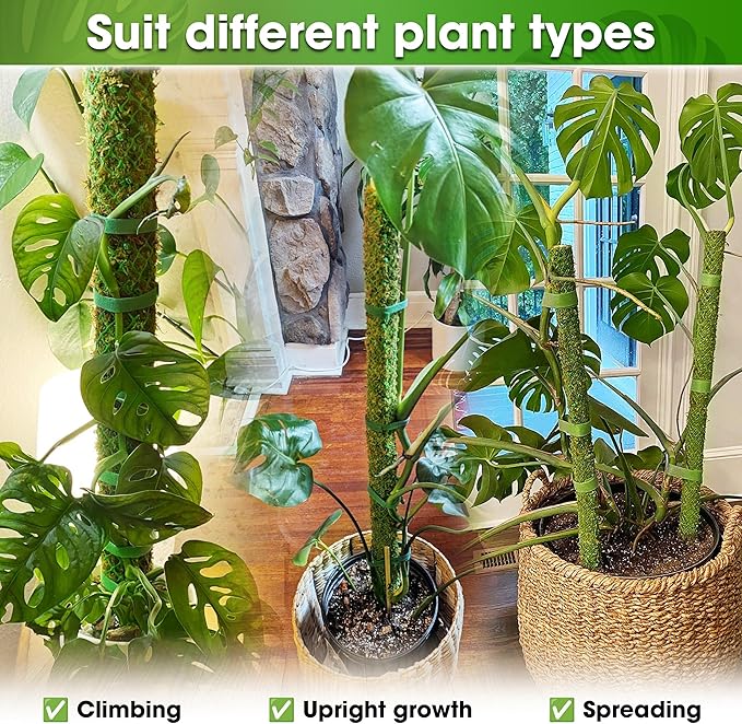 DUSPRO 42’’ Mesh Moss Pole for Climbing Plants, Natural Moss Pole Monstera Plant Support, Real Moss Poles for Plants Indoor, Moss Stick for House Plants, Moss Stakes for Climbing Plants