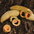 Banana Melon - 25 Seeds - Heirloom & Open-Pollinated Variety, Sweet & Easy-to-Grow, Non-GMO Fruit & Vegetable Seeds for Planting Outdoors in The Home Garden, Thresh Seed Company