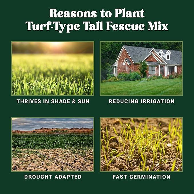 Nature’s Seed Fine Fescue Turf Grass Seed Mix Blend, Shade-Tolerant, Low Water, Cool-Season, for Garden, Lawn, Yard, 5 Lbs