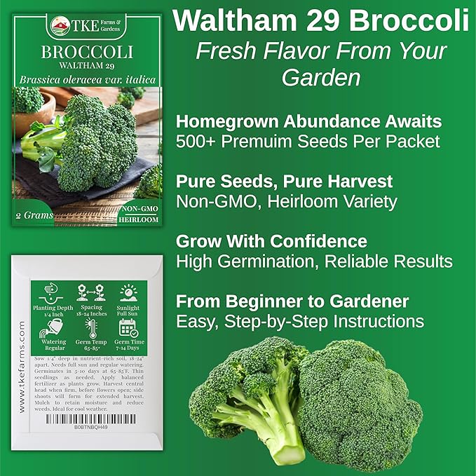 TKE Farms & Gardens - Waltham 29 Broccoli Seeds for Planting, 500+ Non-GMO Heirloom Seeds, Cold-Hardy Variety, Ideal for Fall & Winter Gardens, Easy Growing Instructions Included