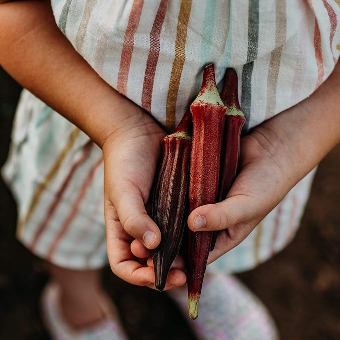 Red Burgundy Okra - 50 Seeds - Heirloom & Open-Pollinated Variety, Easy-to-Grow, Non-GMO Vegetable Seeds for Planting Outdoors in The Home Garden, Thresh Seed Company
