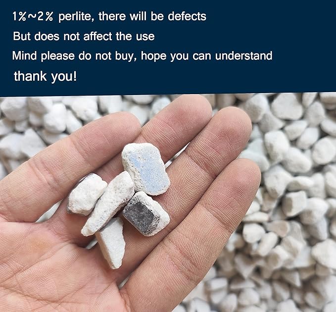 30 QT Professional Grade Horticultural Organic Perlite (30 QT, Large Size - Perlite)