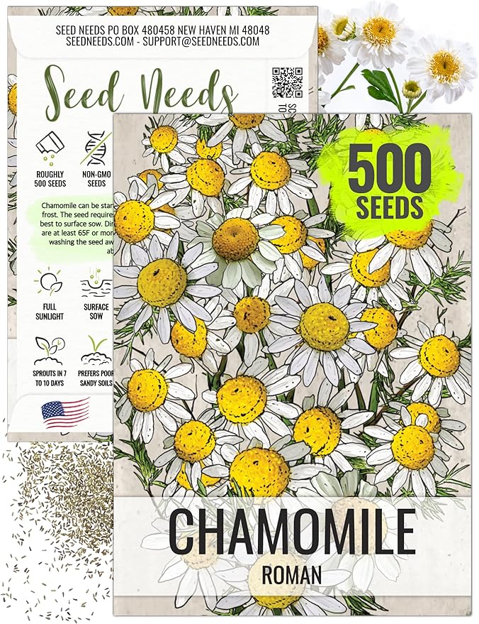 Seed Needs Roman Chamomile Seeds for Planting - Non-GMO, Heirloom & Untreated - Grow a Home Grown Medicinal Tea Herb Garden Indoors or Outdoors (1 Pack)