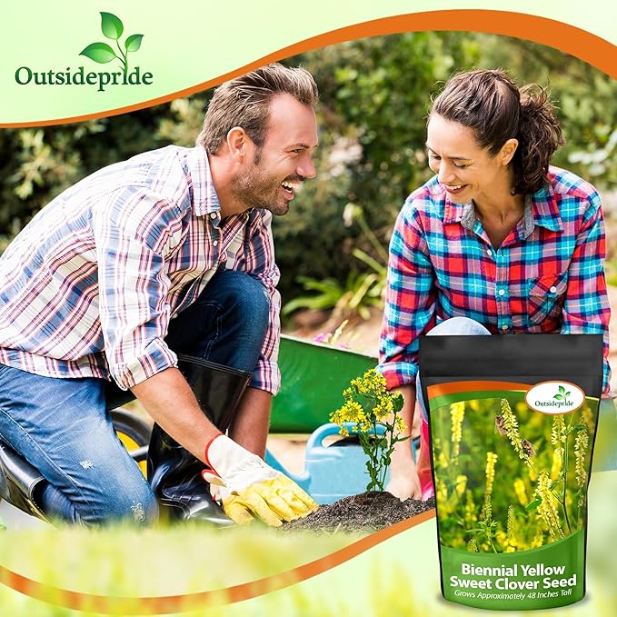 Outsidepride Yellow Sweet Clover Seed - 40 lbs Biennial, Drought-Tolerant, Frost-Resistant, Nitrocoated, Inoculated Yellow Clover Seeds Cover Crop for Forage, Honey Production, & Pollinators
