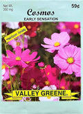 Set of 100 Cosmos - Early Sensation Annual Flower Seed Packets - Perfect for Creating Your Dream Garden! - Includes 100 Packets of Cosmos - Early Sensation Seeds!