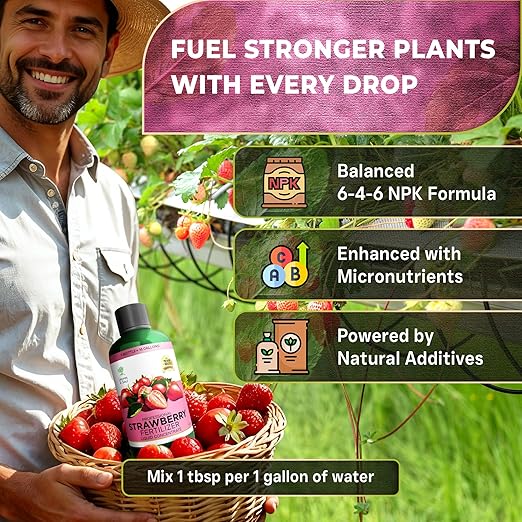 Leaves and Soul Professional Strawberry Fertilizer Liquid Concentrate - 6-4-6 Blend Liquid Garden Fertilizer for Strawberries - Plant Food for Strawberry Bushes and Plants - 8oz