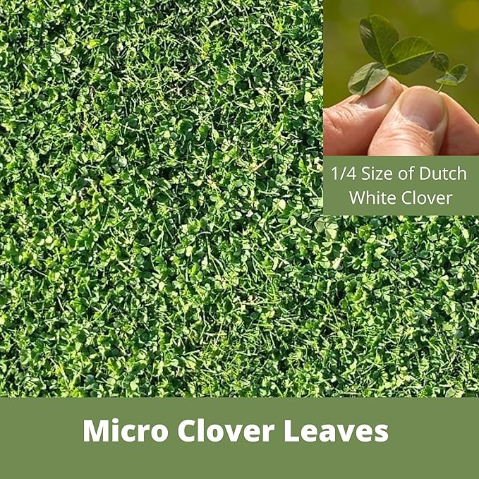 Flawn Seed Kits Micro Clover Seed, 8.8 oz, Organic Coated, Eco-Friendly, Low Growing, Low Maintenance, Lawn Alternative, Kraft Zipper Pouch, Covers up to 2,000 Sqft