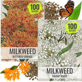 Seed Needs Milkweed Seeds for Planting Butterfly Orange/Swamp White Asclepias Flowers - Heirloom Wildflowers to Attract Monarch Butterflies to a Butterfly Garden