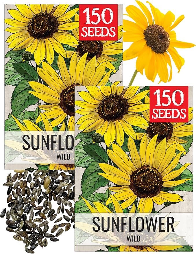 Seed Needs Sunflower Seeds for Planting Wild Sunflowers - Heirloom & Open Pollinated Flower Seed to Plant an Outdoor Wildflower Butterfly Garden (2 Packs)